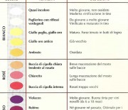 Il significato del colore dei vini