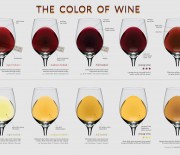 I colori del vino